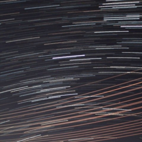 長寿の街で見る南極老人星