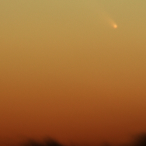 パンスターズ彗星