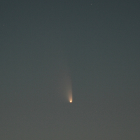 3/15 　パンスターズ彗星