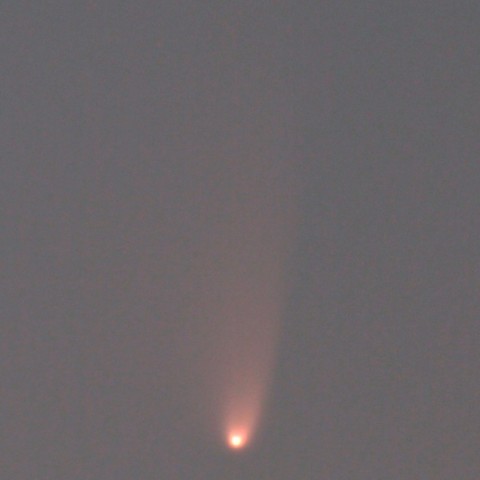 3/16  パンスターズ彗星