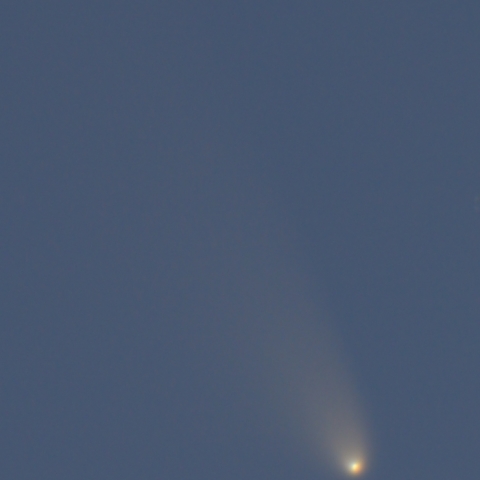 3/21 パンスターズ彗星