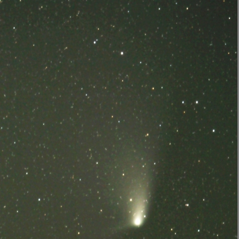 4/16 パンスターズ彗星