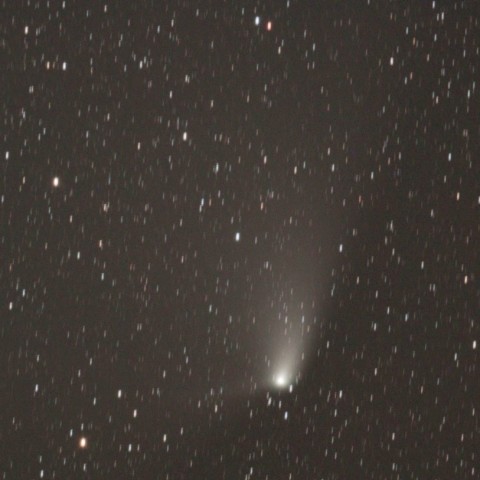 4/18 パンスターズ彗星