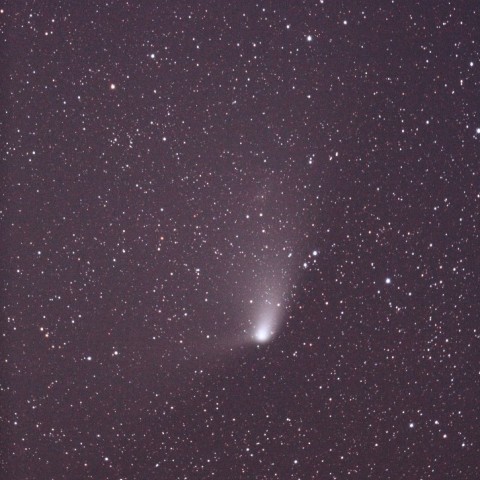 4/22 パンスターズ彗星