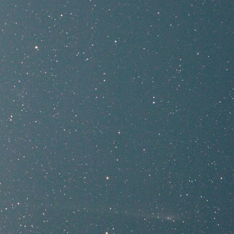 5/23 北極星とパンスターズ彗星