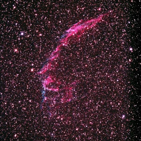 はくちょう座　網状星雲