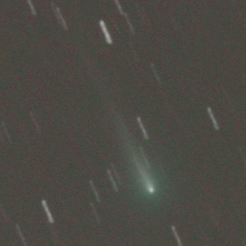 10/14　 アイソン彗星