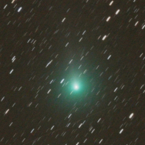 10/31 ラブジョイ彗星