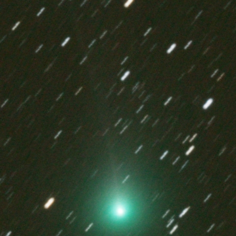 11/ 2 　ラブジョイ彗星