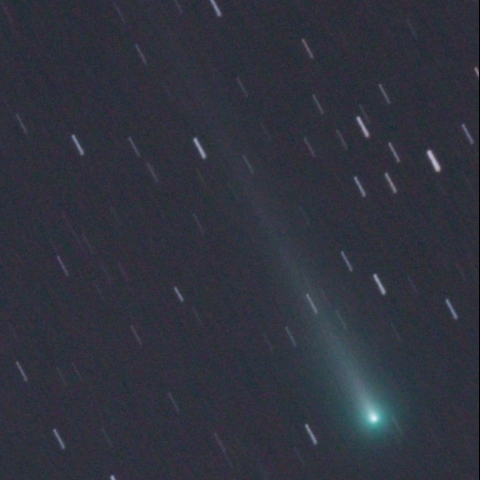 11/ 2 　アイソン彗星