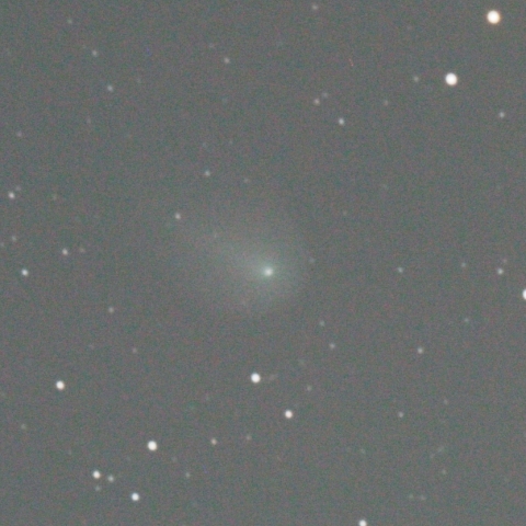 11/6 　リニア彗星