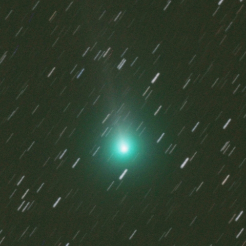 11/6 　ラブジョイ彗星