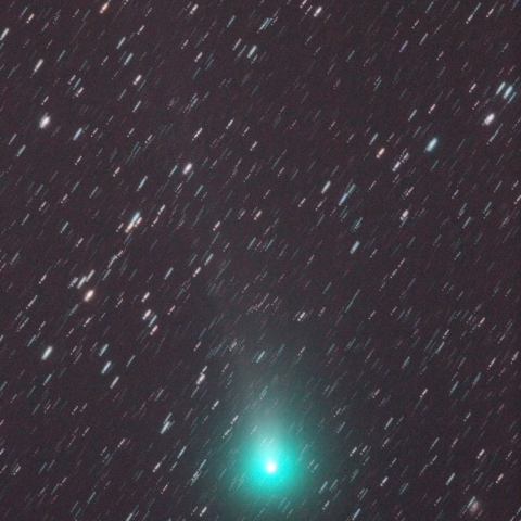 11/ 8 ラブジョイ彗星