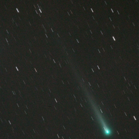 11/8 アイソン彗星