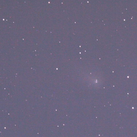 11/8 リニア彗星