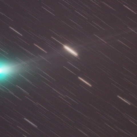 11/12 　ラブジョイ彗星