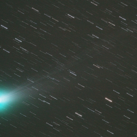 11/14  ラブジョイ彗星