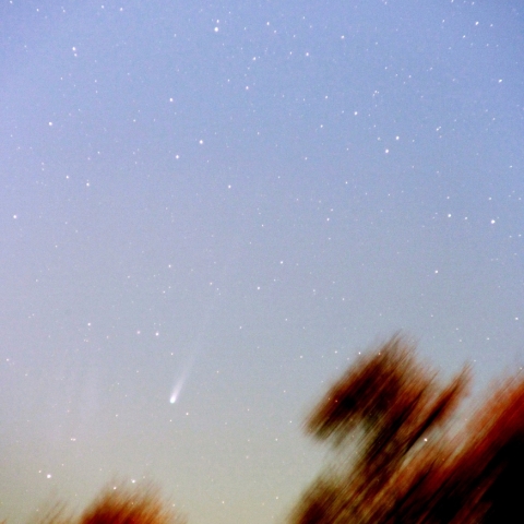 11/21　 アイソン彗星　