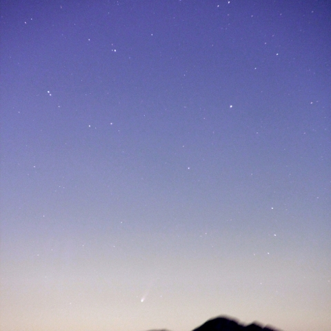 昇るアイソン彗星