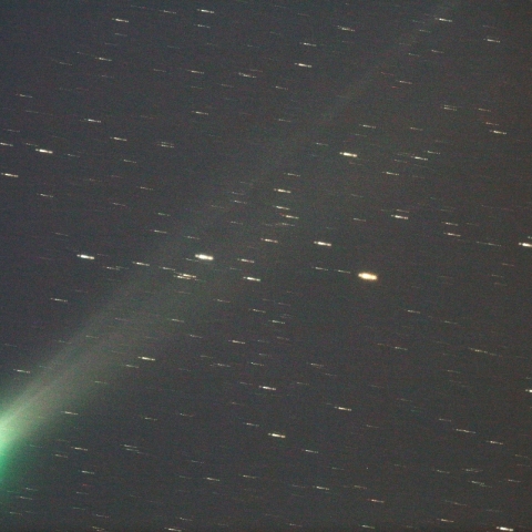 11/24 ラブジョイ彗星