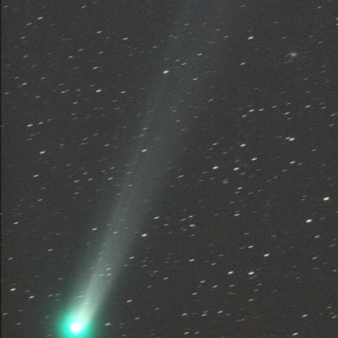 12/1 ラブジョイ彗星