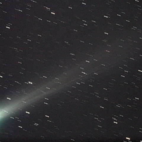 11/29 ラブジョイ彗星