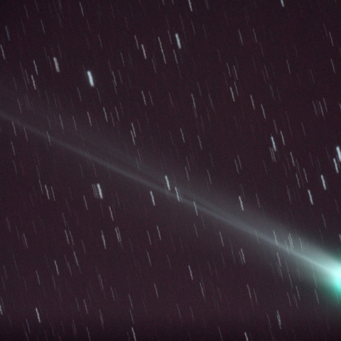 12/2 ラブジョイ彗星