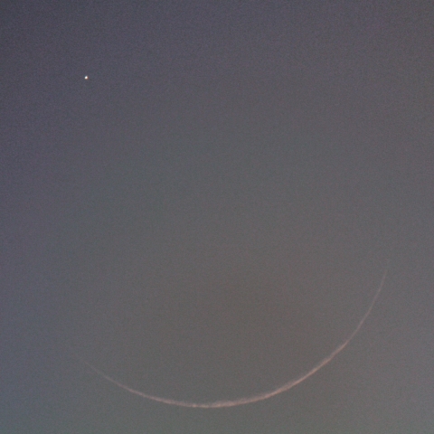 水星食（出現）