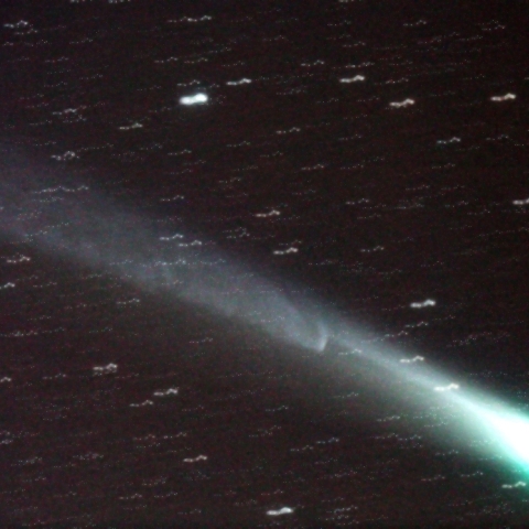 11/5 蛇行したラブジョイ彗星の尾