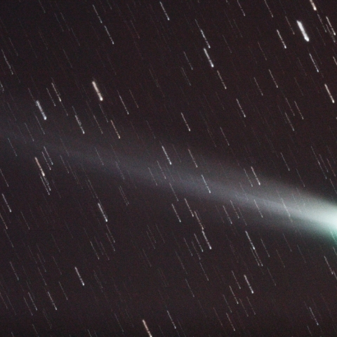 12/7　 ラブジョイ彗星