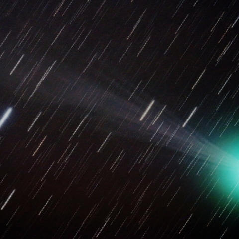 1/7 ﾗﾌﾞｼﾞｮｲ彗星