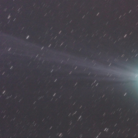 1/13 ﾗﾌﾞｼﾞｮｲ彗星