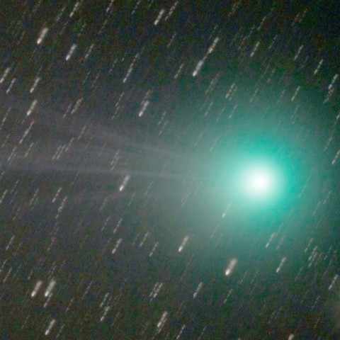 1/23 ﾗﾌﾞｼﾞｮｲ彗星　頭部