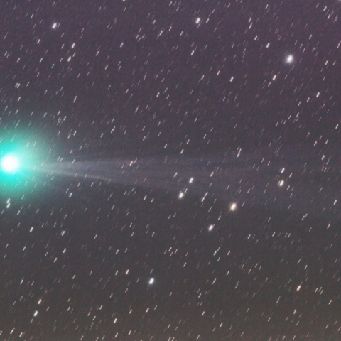 1/24 ﾗﾌﾞｼﾞｮｲ彗星