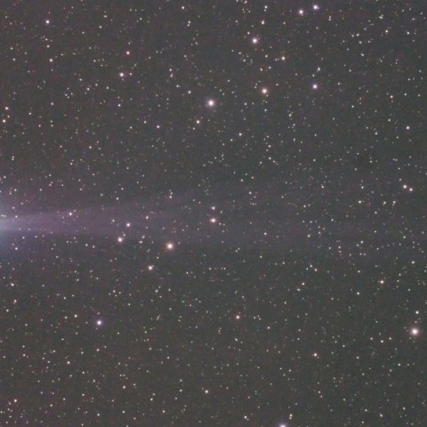 1/24 ﾗﾌﾞｼﾞｮｲ彗星　290mm
