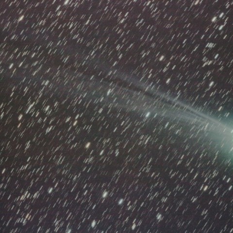 2/6 ﾗﾌﾞｼﾞｮｲ彗星