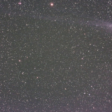 2/6 ラブジョイ彗星