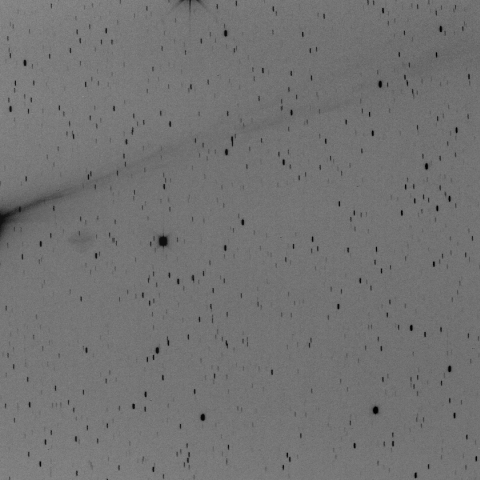 12/9 カタリナ彗星