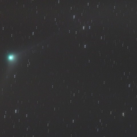 12/19 カタリナ彗星