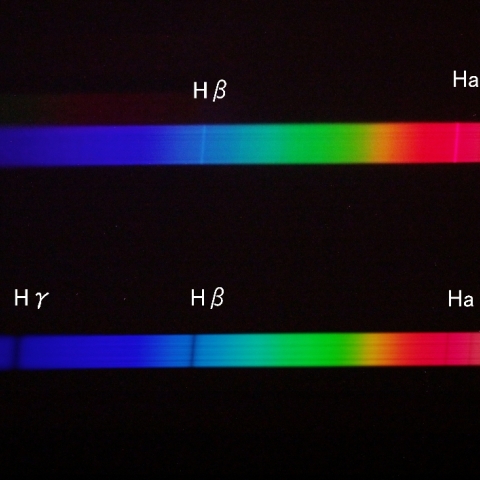 カシオペヤγ星とベガのスペクトル