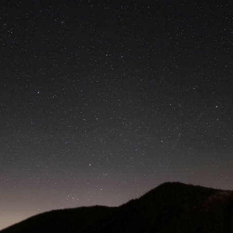 さよなら冬の星座たち