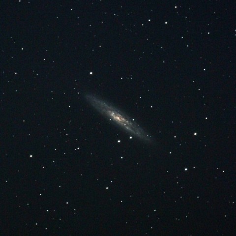 NGC253