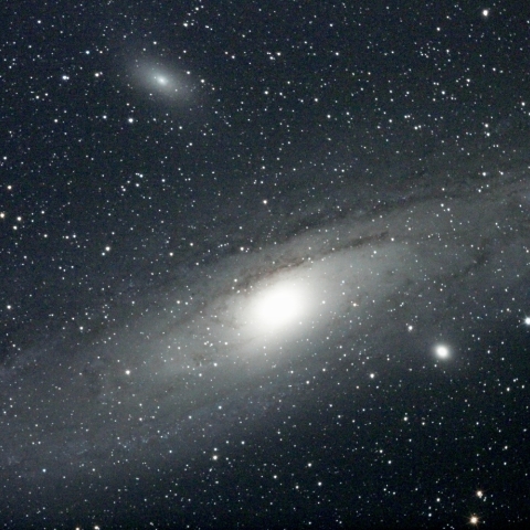 M31