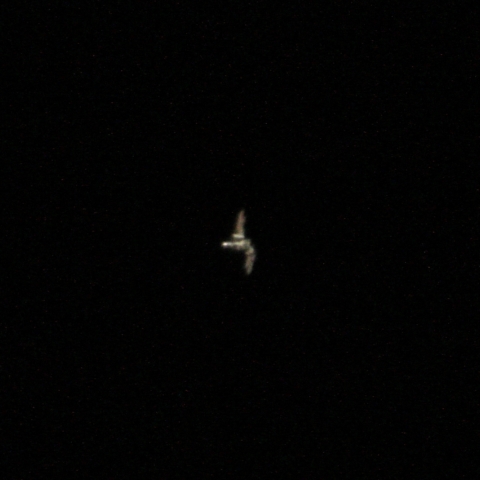 星出さん搭乗のISS