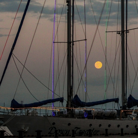 11月の満月（ビーバームーン）