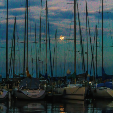 満月のヨットハーバー