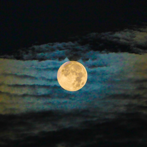 今年最後の満月（コールドムーン）