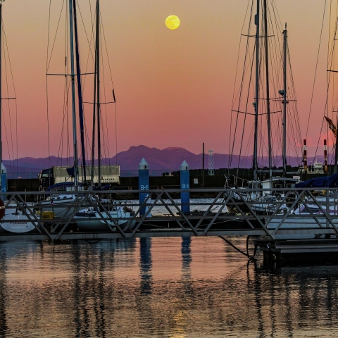 ヨットハーバーに昇る満月