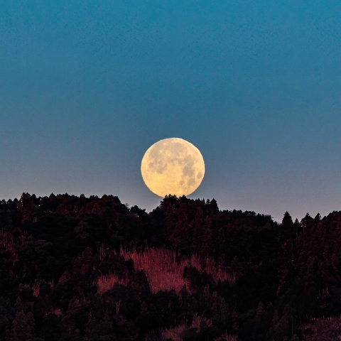 沈むウルフムーン