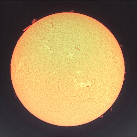 太陽（2月12日）